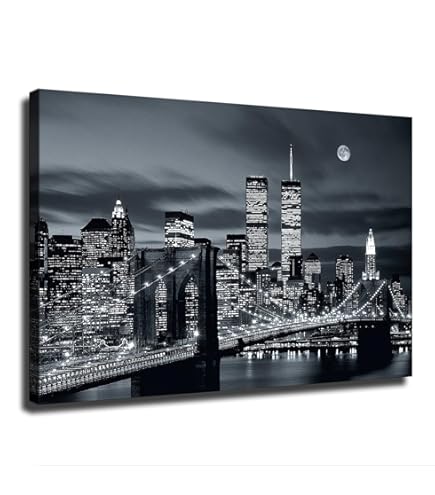 Amazon.com: New York City Twin Towers 